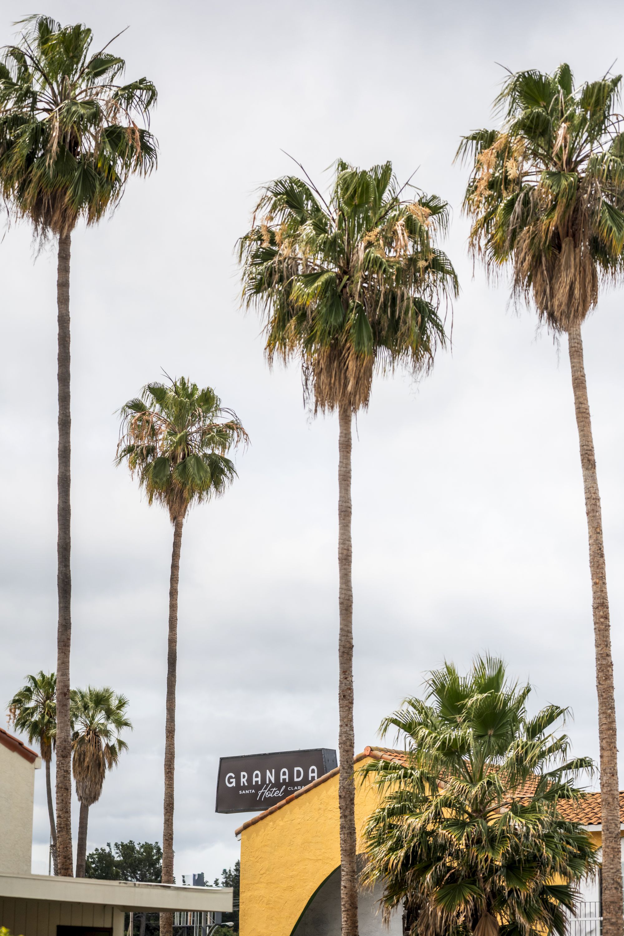Tall palm trees against a cloudy sky with a building and sign reading &ldquo;GRANADA&rdquo; at the bottom, giving a sunny, Southern California vibe.