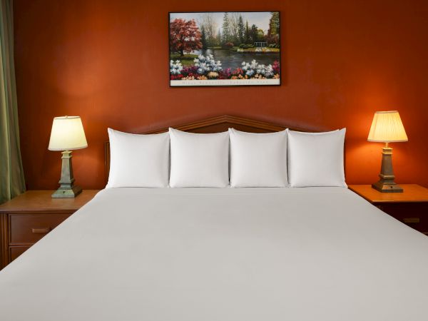 Granada Hotel Santa Clara