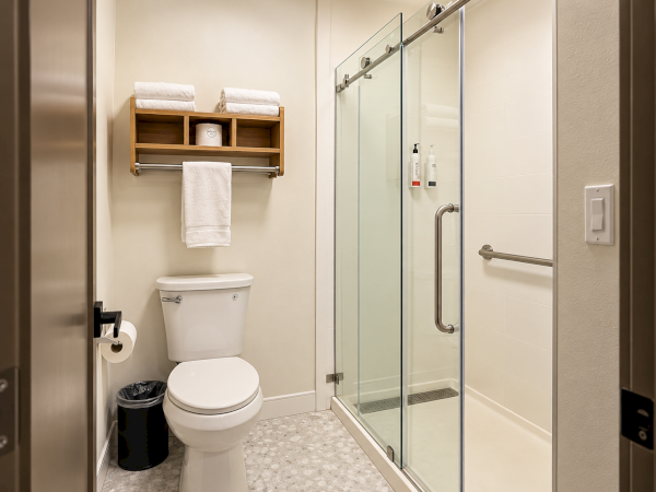 A modern bathroom with a toilet, towel rack, and a glass shower with bottles and a grab bar.