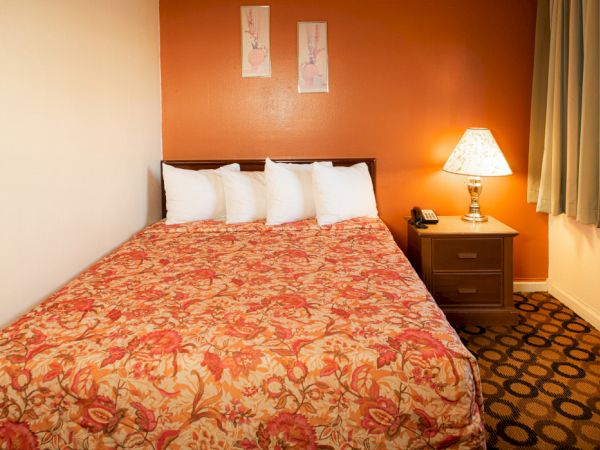 A cozy hotel room with a full bed, orange accent wall, floral bedspread, white pillows, nightstand, lamp, and window curtains, neatly arranged.