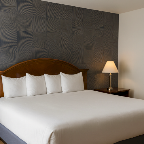 Granada Hotel Santa Clara